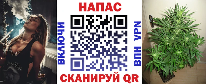 Шишки марихуана Amnesia  наркотики  Мензелинск 